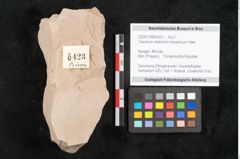 Foto (Objekt + Etikett) von Taxodium distichum miocenicum Heer (NHMW-GEO-2024-0188-6423)
